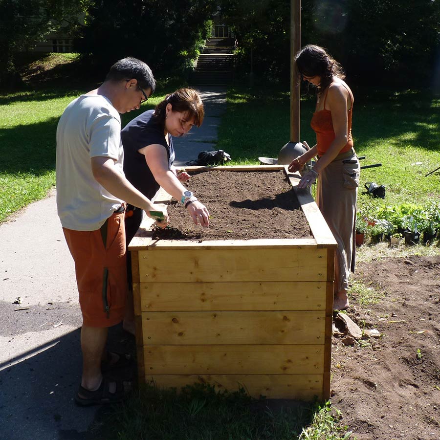 Naplnění a osazení vyvýšeného záhonu - Centrum Kociánka